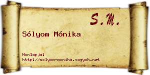 Sólyom Mónika névjegykártya